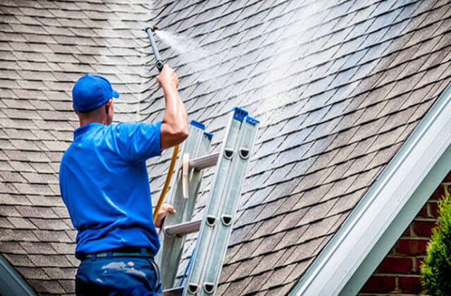 tamarac roof cleaning